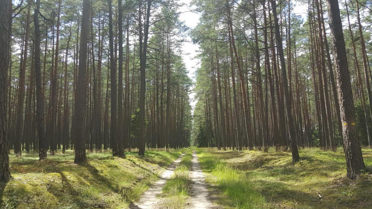 Borywood Villa Male Gacno Buitenkant foto