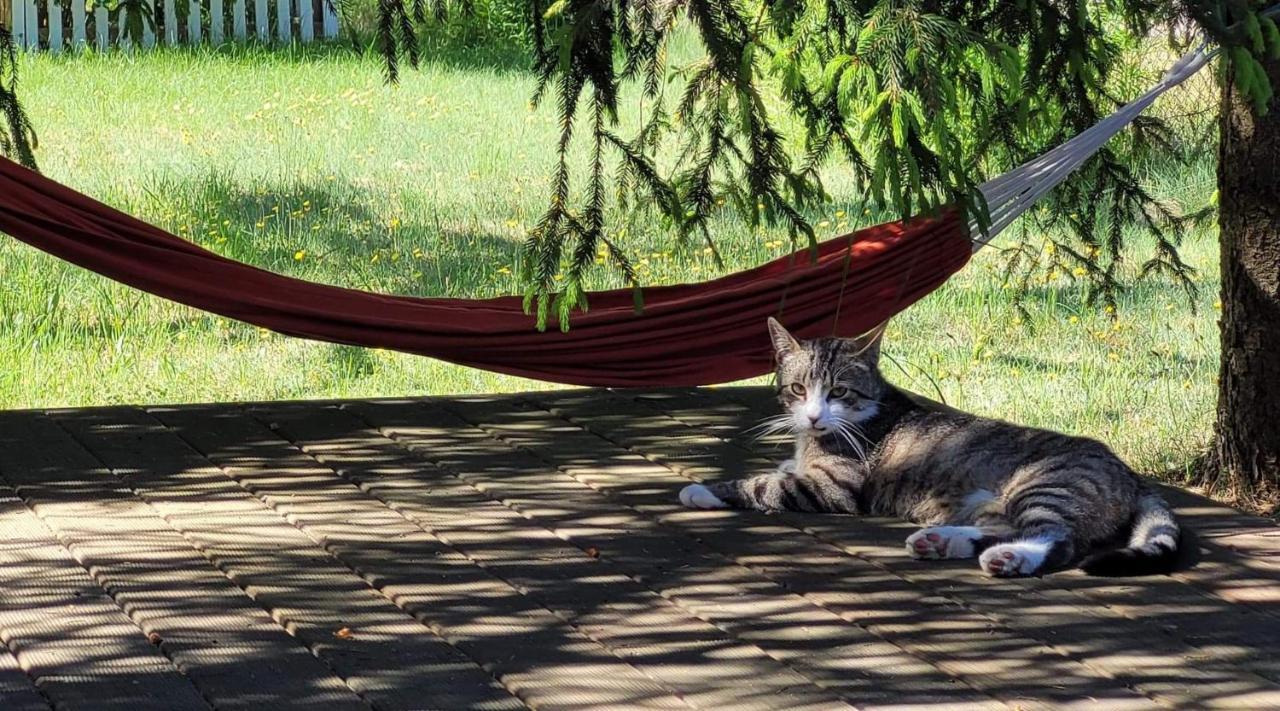 Borywood Villa Male Gacno Buitenkant foto