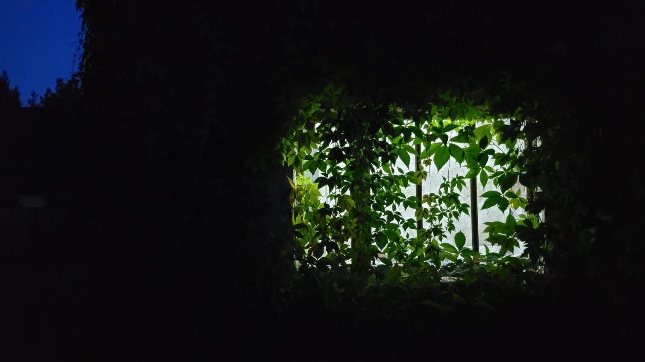 Borywood Villa Male Gacno Buitenkant foto