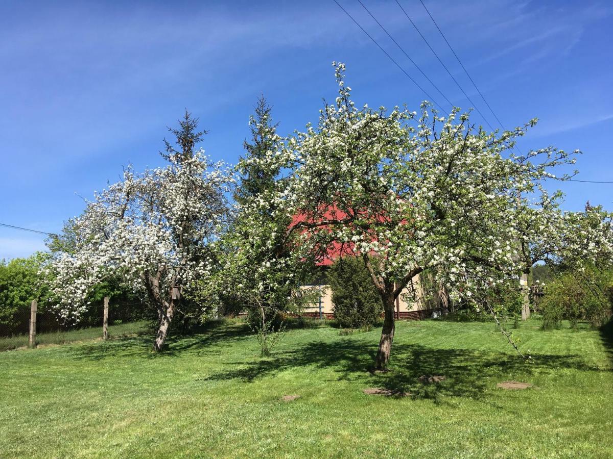 Borywood Villa Male Gacno Buitenkant foto