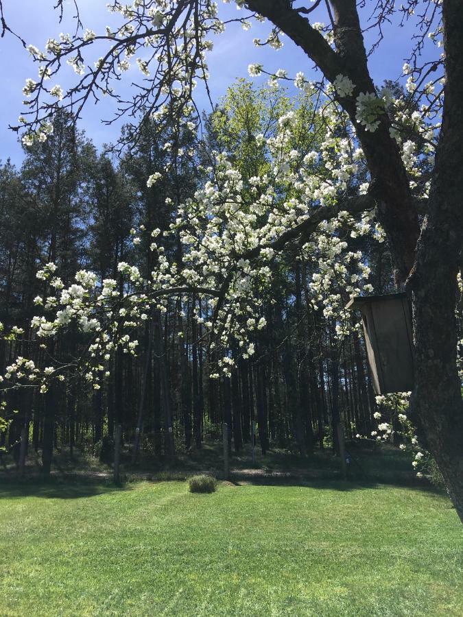 Borywood Villa Male Gacno Buitenkant foto